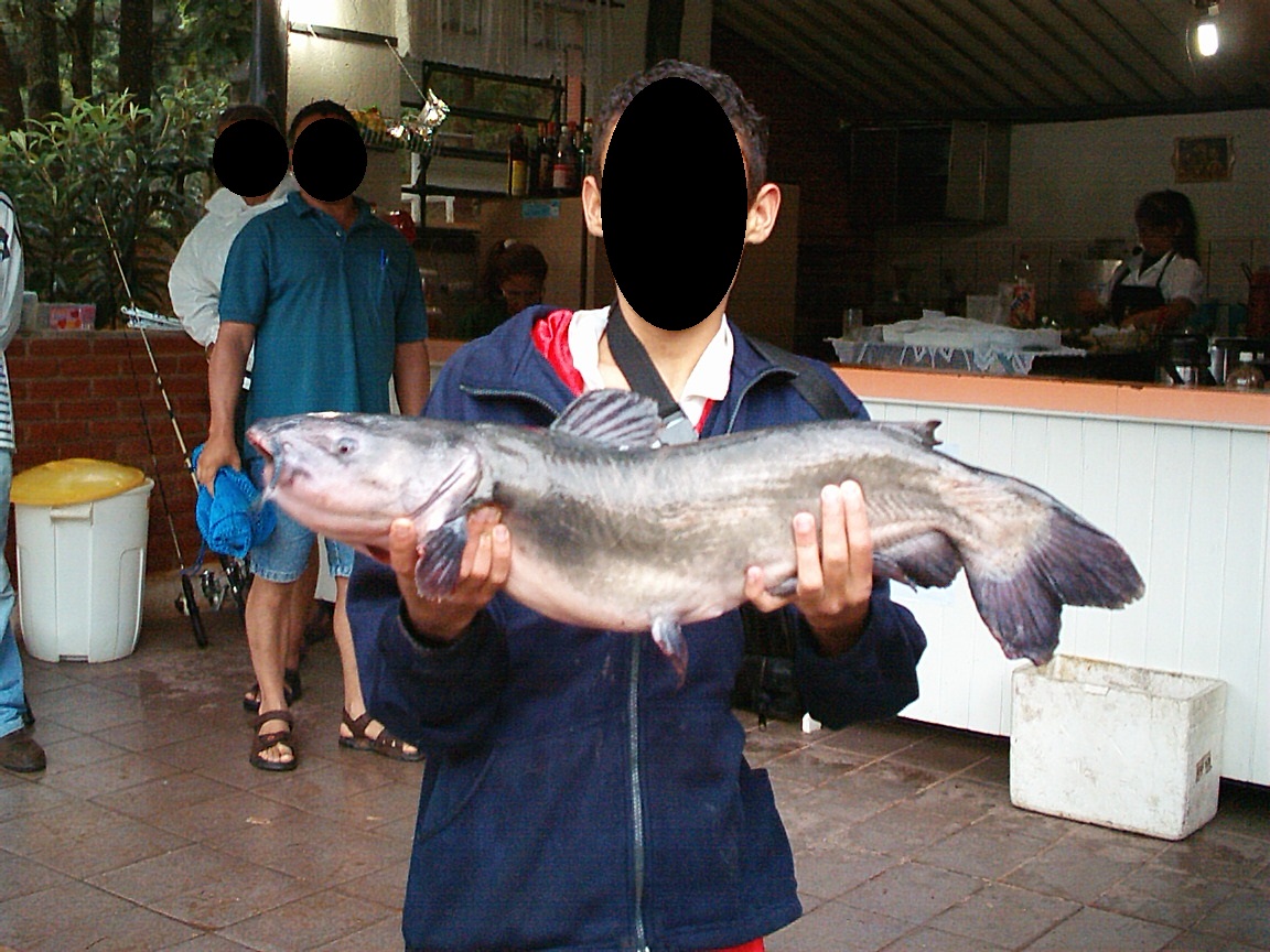 Menino mostrando um Catfish que acabou de pescar